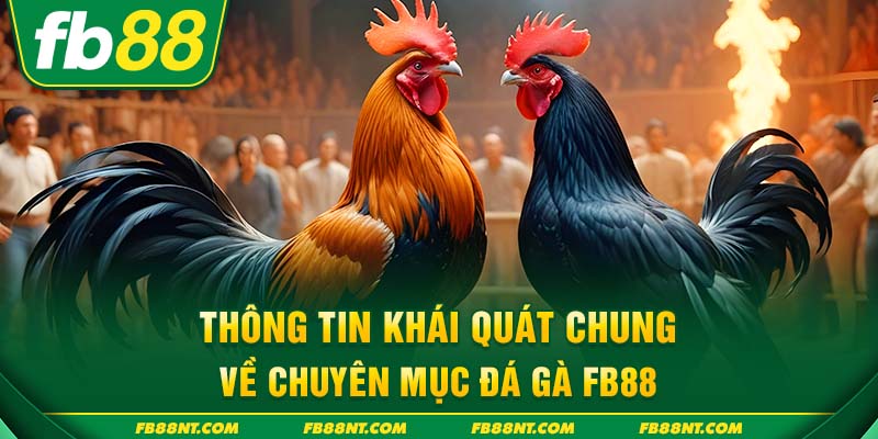 Thông tin khái quát chung về chuyên mục đá gà FB88