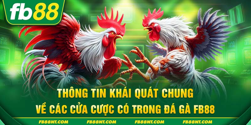 Thông tin khái quát chung về các cửa cược có trong đá gà FB88